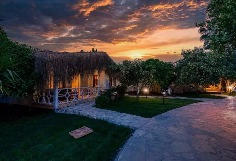 Windmolen Bungalow ãƒâ€¡ã„â±ralã„â±