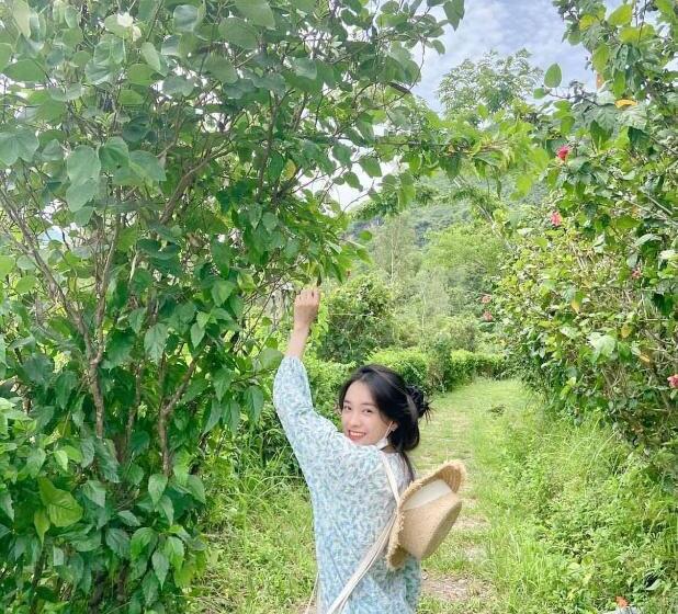 تختخواب و صبحانه Nhà Nghỉ Hồng Nhung