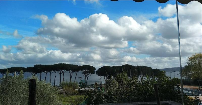 ホテル Lh  Del Lago