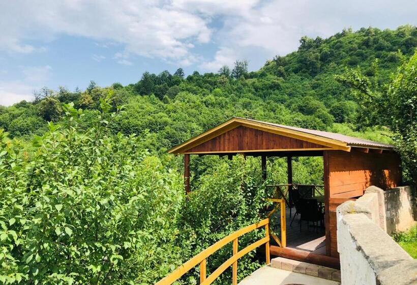 پانسیون гостевой дом Dilart