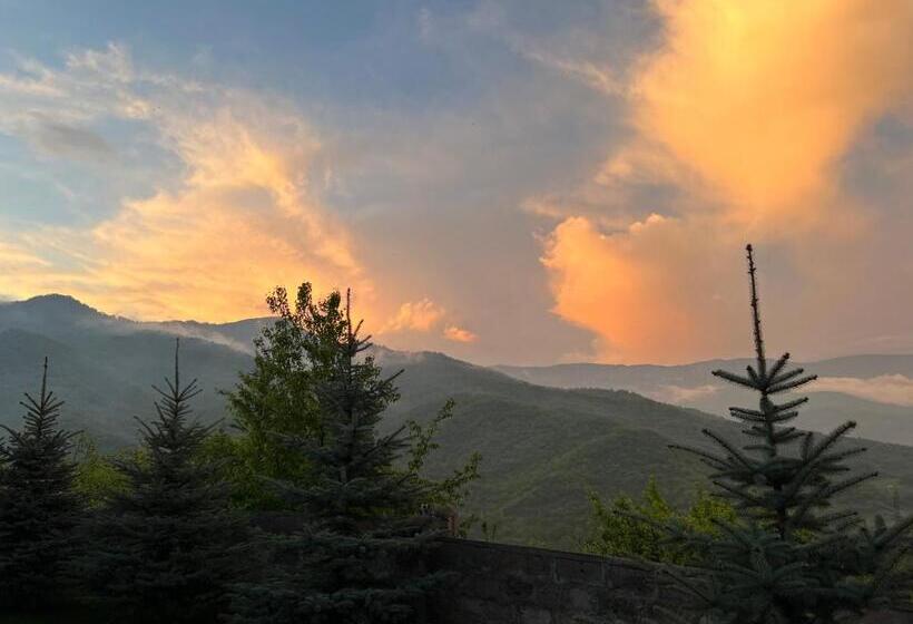 پانسیون гостевой дом Dilart