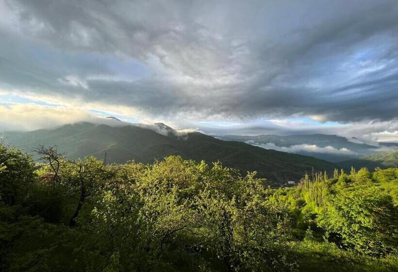 پانسیون гостевой дом Dilart