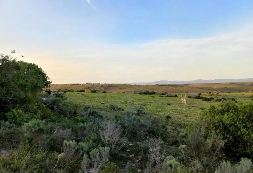 Majatalo Fijnbosch Game Lodge Jeffreys Bay
