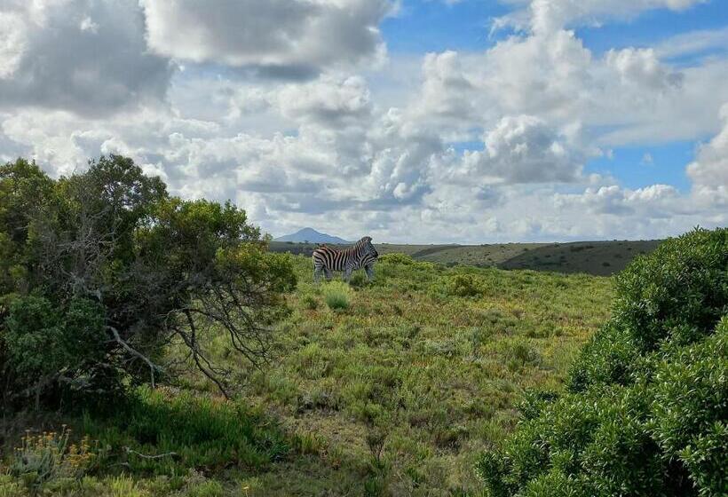 Pension Fijnbosch Game Lodge Jeffreys Bay