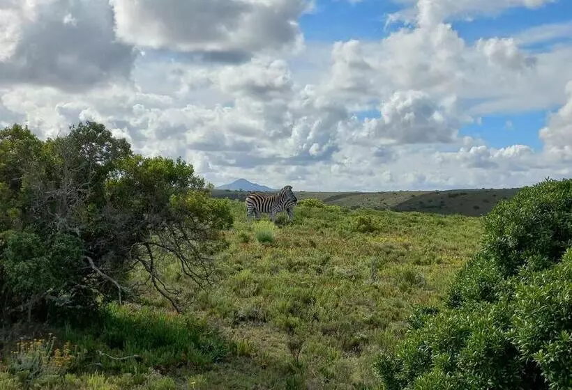 Majatalo Fijnbosch Game Lodge Jeffreys Bay