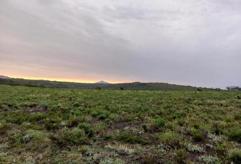 Pension Fijnbosch Game Lodge Jeffreys Bay