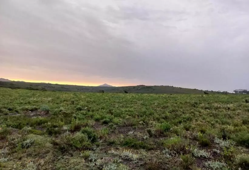 Majatalo Fijnbosch Game Lodge Jeffreys Bay