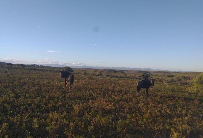 Pension Fijnbosch Game Lodge Jeffreys Bay