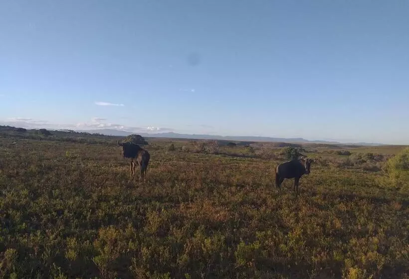 Majatalo Fijnbosch Game Lodge Jeffreys Bay