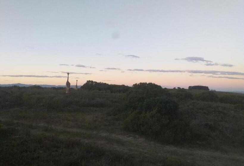 Pension Fijnbosch Game Lodge Jeffreys Bay