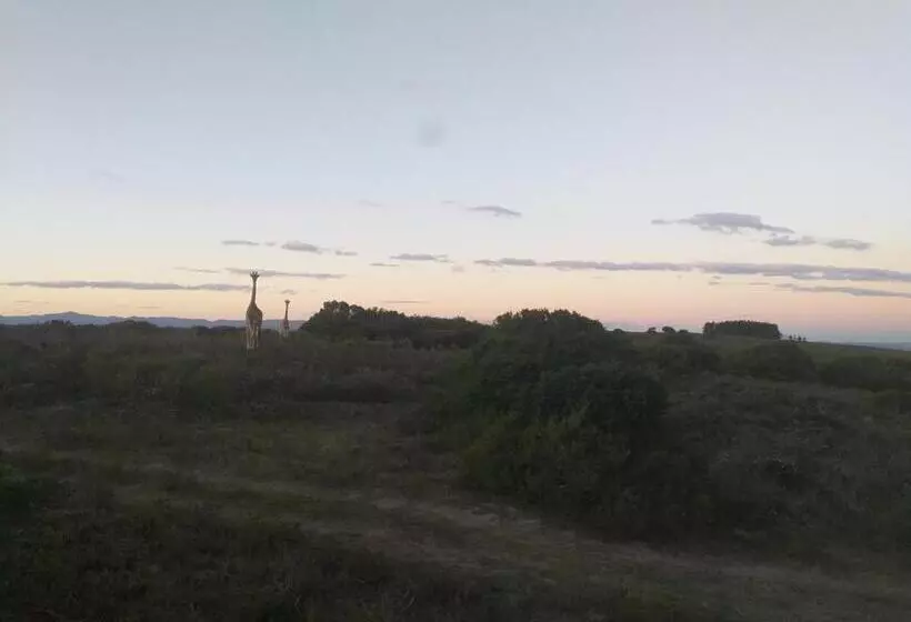 Majatalo Fijnbosch Game Lodge Jeffreys Bay