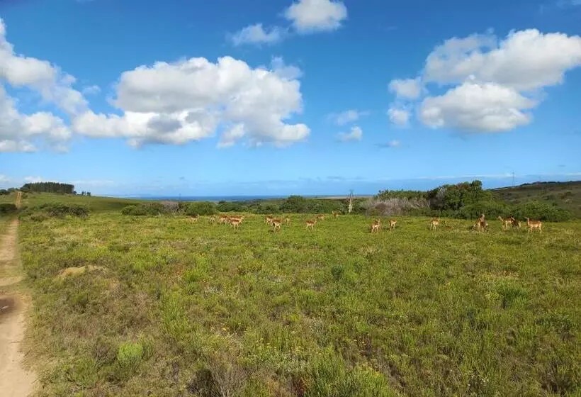 Majatalo Fijnbosch Game Lodge Jeffreys Bay