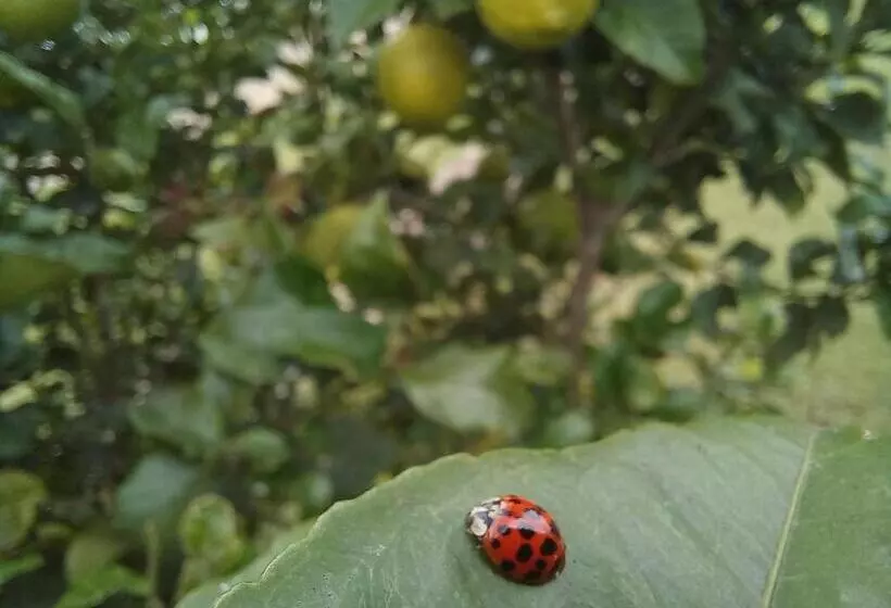 Majatalo Fijnbosch Game Lodge Jeffreys Bay