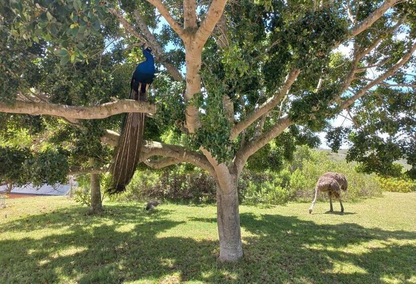 Pension Fijnbosch Game Lodge Jeffreys Bay