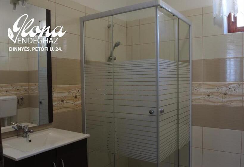 ペンション Ilona Vendégház Dinnyés