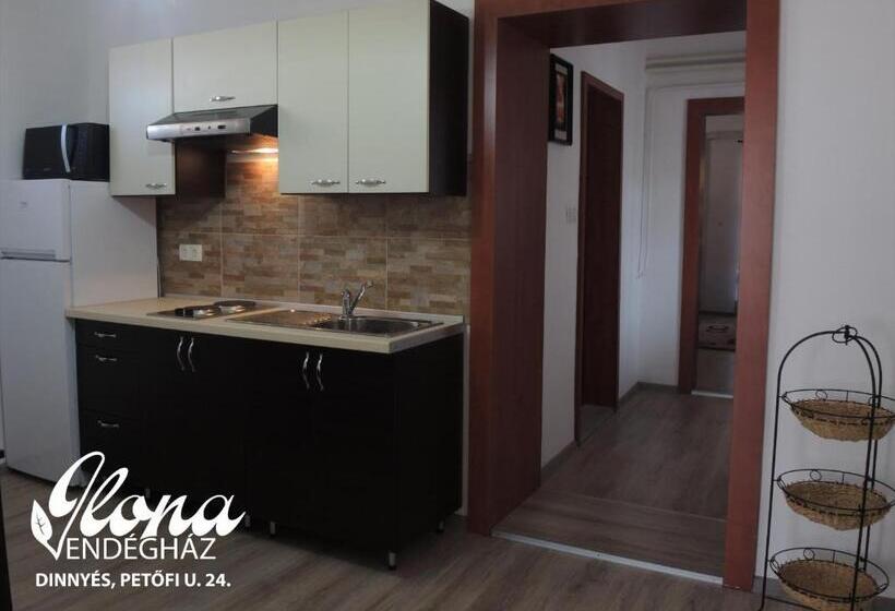 ペンション Ilona Vendégház Dinnyés