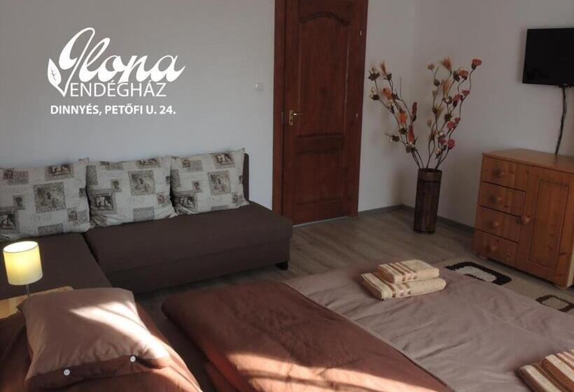 ペンション Ilona Vendégház Dinnyés