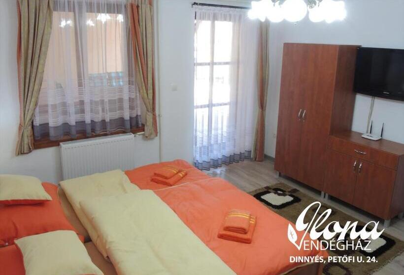 ペンション Ilona Vendégház Dinnyés