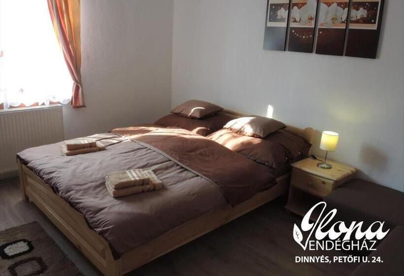 ペンション Ilona Vendégház Dinnyés