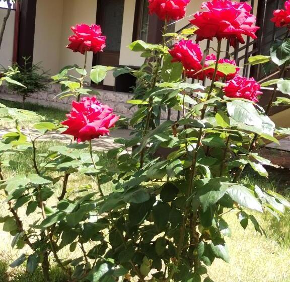 پانسیون La Babusca