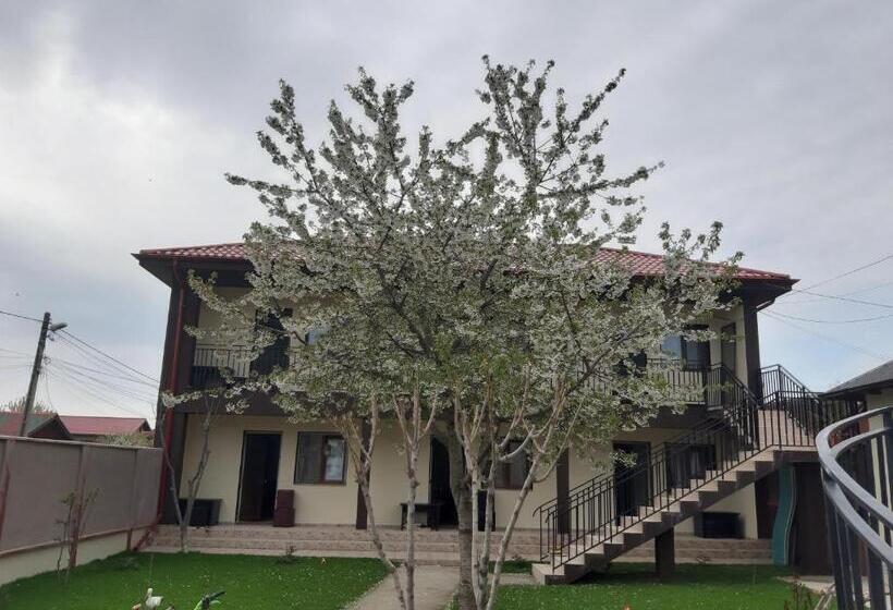 پانسیون La Babusca