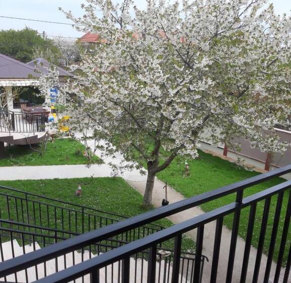 پانسیون La Babusca