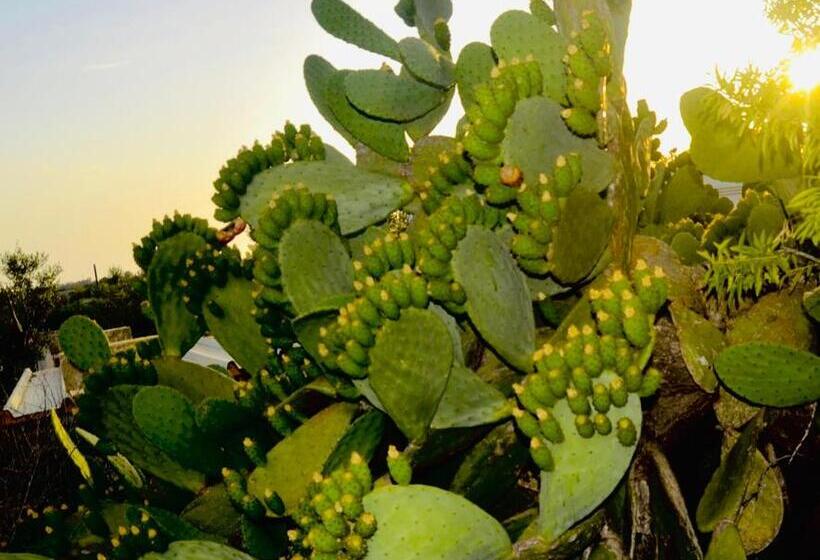 Tenuta Don Vittorio B&b