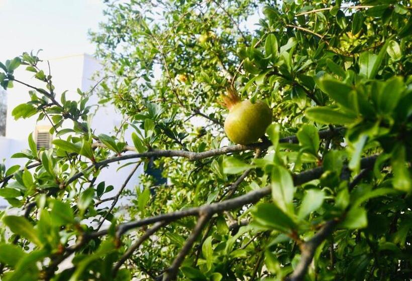 Tenuta Don Vittorio B&b