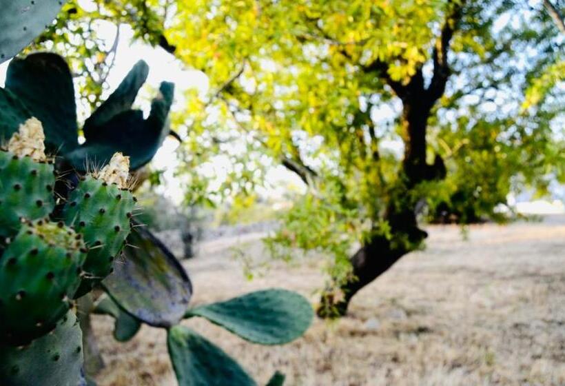 Tenuta Don Vittorio B&b