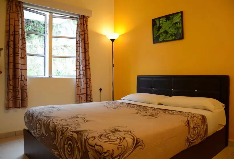 ユースホステル Father S Guest House