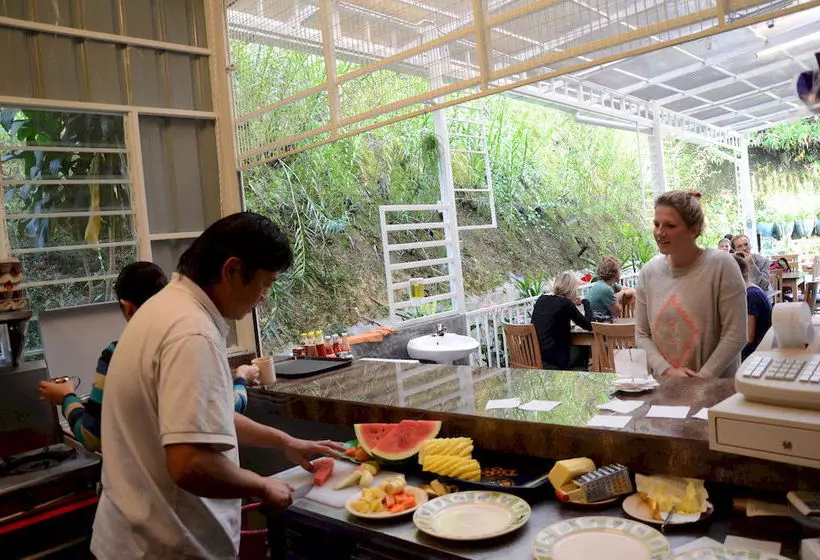 ユースホステル Father S Guest House