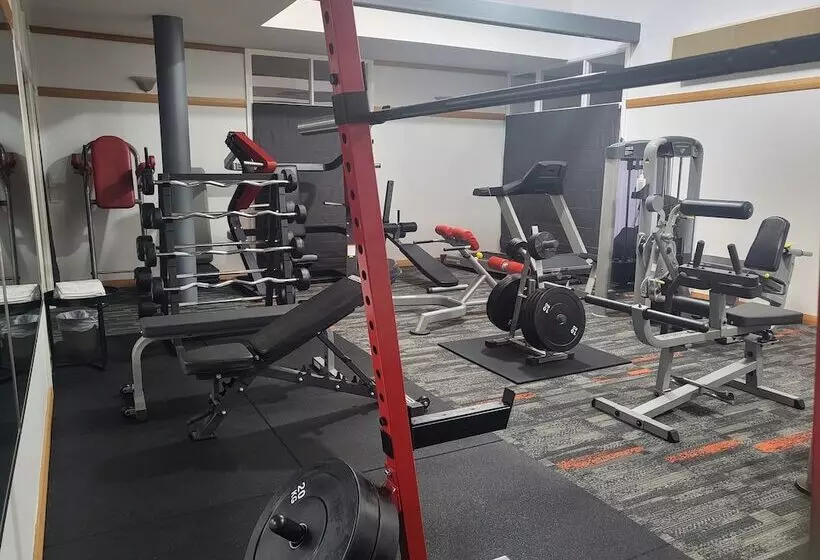 Banksia Motel Collie