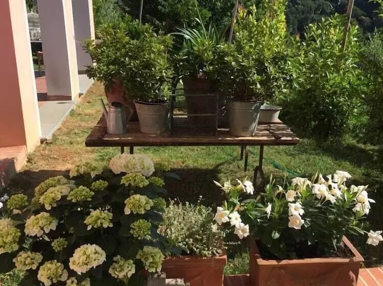 Отель Agriturismo Monte A Pescia