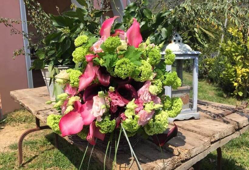 호텔 Agriturismo Monte A Pescia