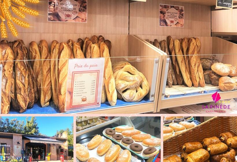 酒店 Camping La Pinede