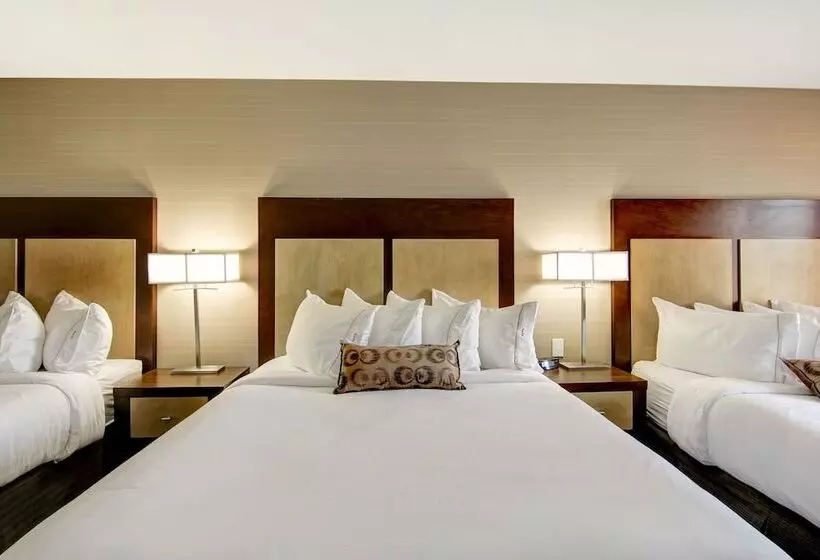 Canalta Hotel Esterhazy