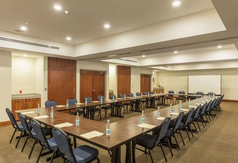 Hotel Hampton Inn & Suites By Hilton Los Cabos