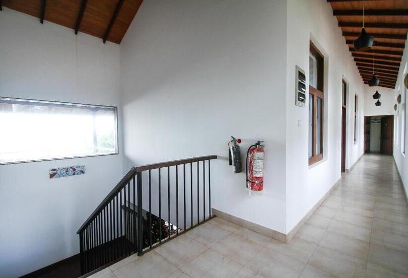 ホテル Maresia Beach Villa