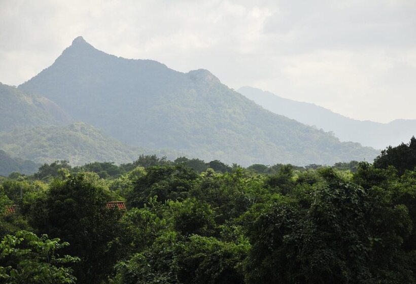 فندق Wild Grass Nature Resort