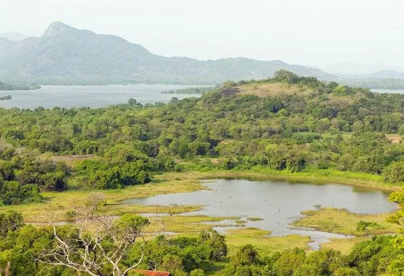 Hotel Wild Grass Nature Resort