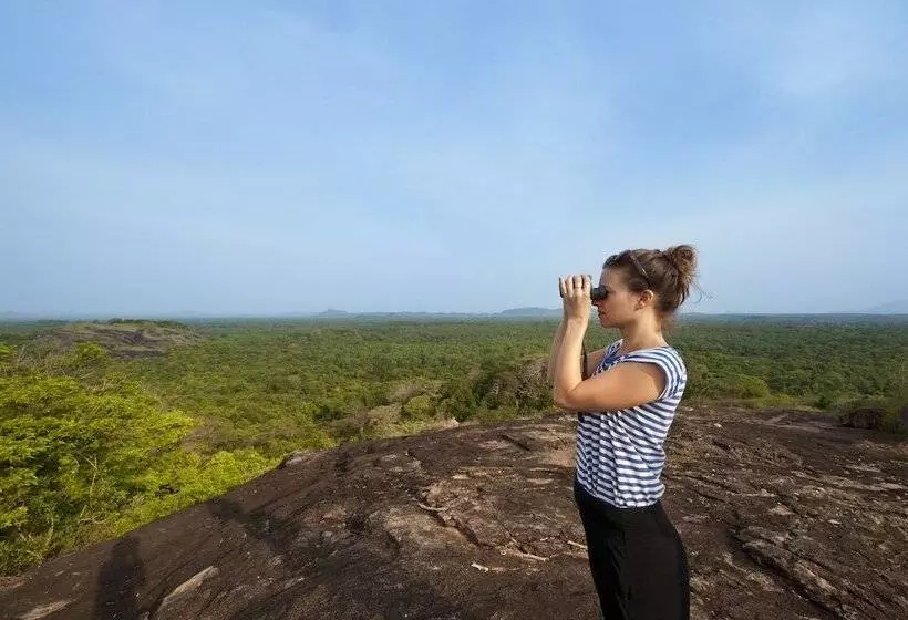 Hotel Wild Grass Nature Resort