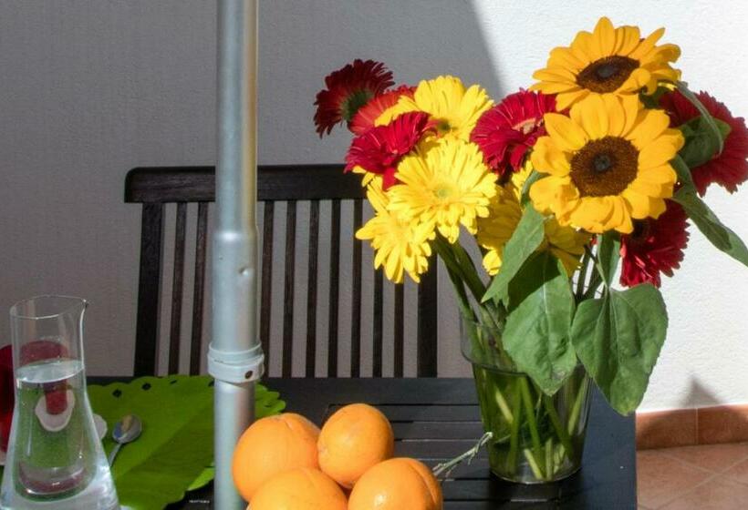 Residence Scirocco E Tramontana