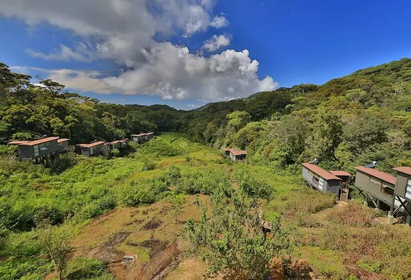 The Rainforest Ecolodge