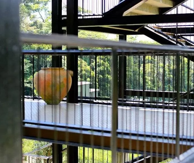 The Rainforest Ecolodge