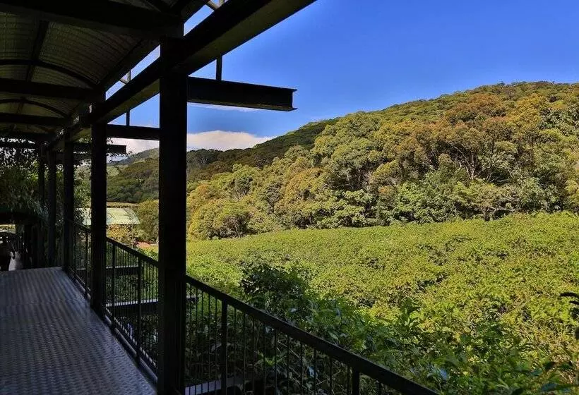 The Rainforest Ecolodge