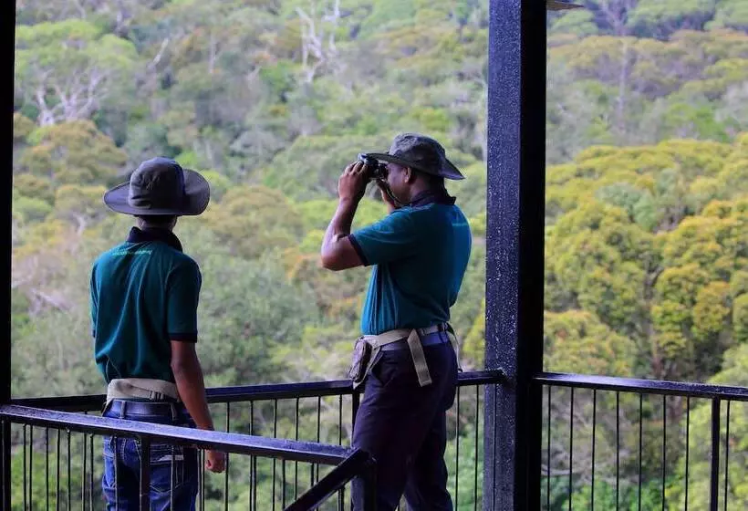 The Rainforest Ecolodge