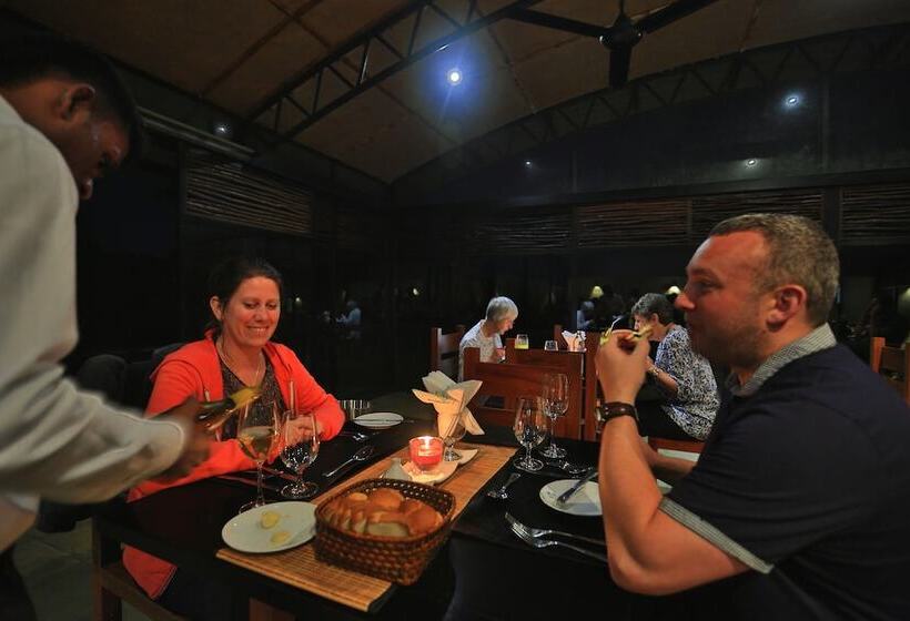 The Rainforest Ecolodge