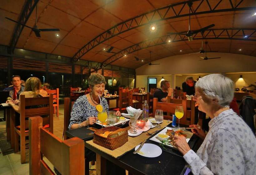 The Rainforest Ecolodge