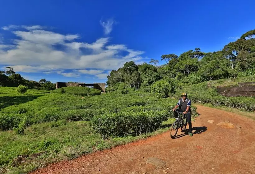 The Rainforest Ecolodge
