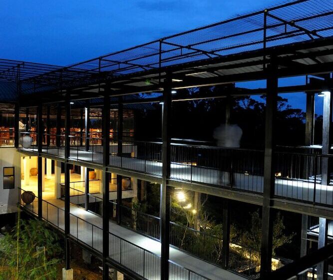 The Rainforest Ecolodge